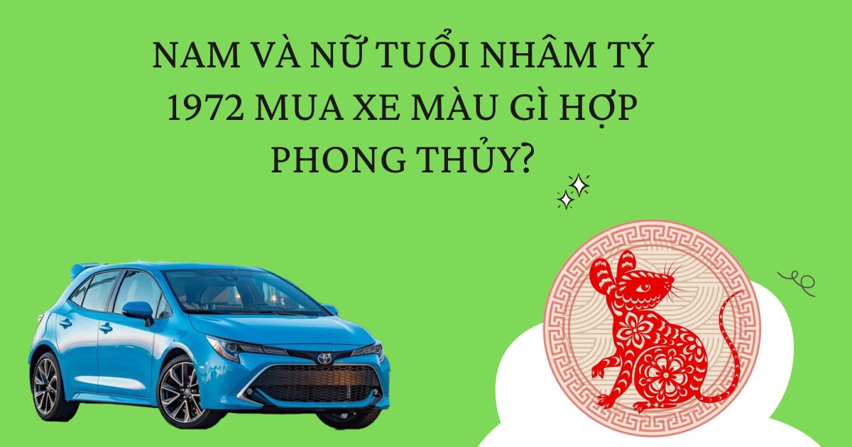 4. Màu Xe Nên Tránh Cho Tuổi Nhâm Tý