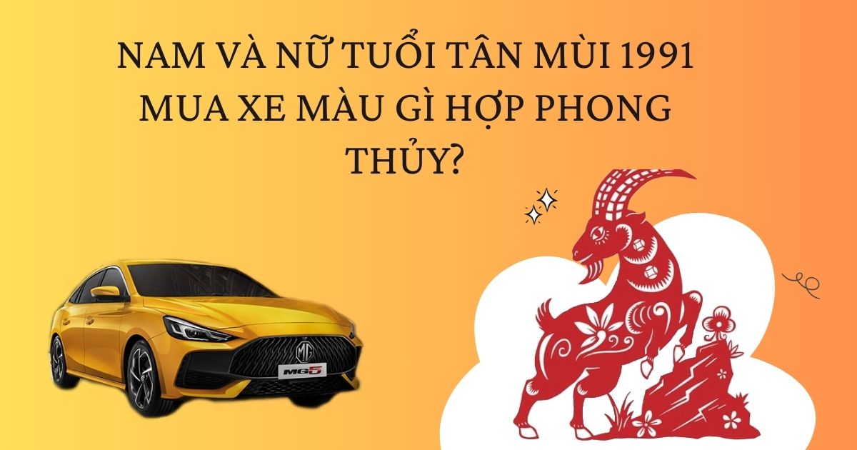 Mệnh Thổ 1991 Hợp Xe Màu Gì? - Tìm Hiểu và Lựa Chọn Màu Xe Phù Hợp