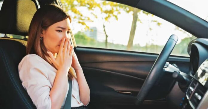 cách khử mùi trên xe ô tô