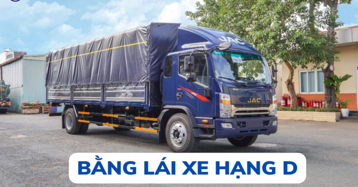 bằng D lái xe gì