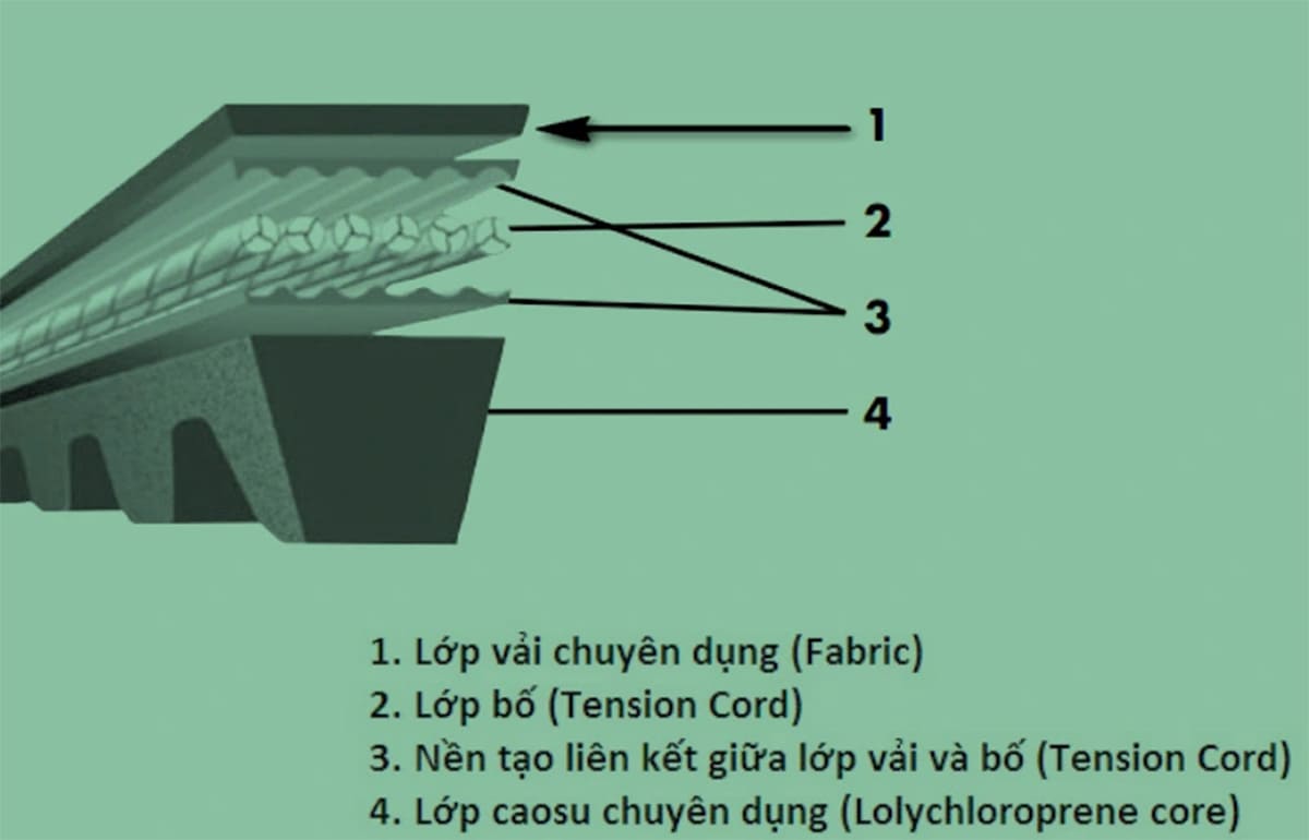 Cấu tạo của dây curoa 