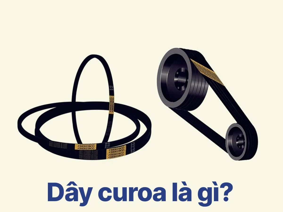 Dây curoa là gì?