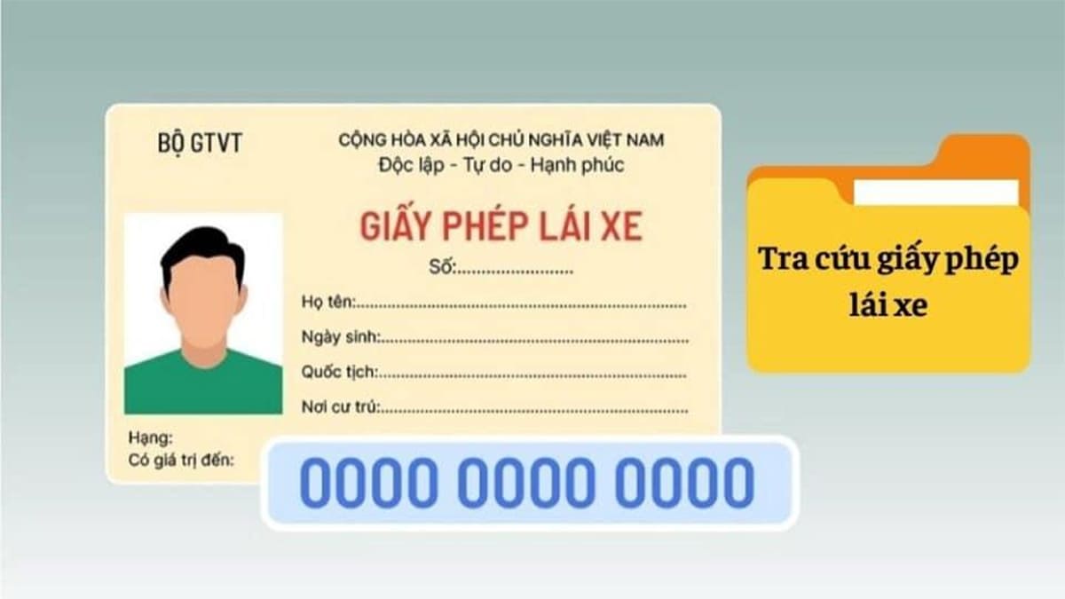 cách tra cứu giấy phép lái xe