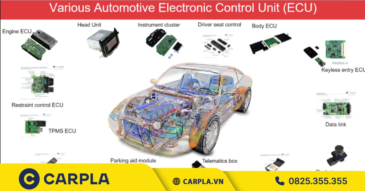 Cấu tạo của ECU là gì?