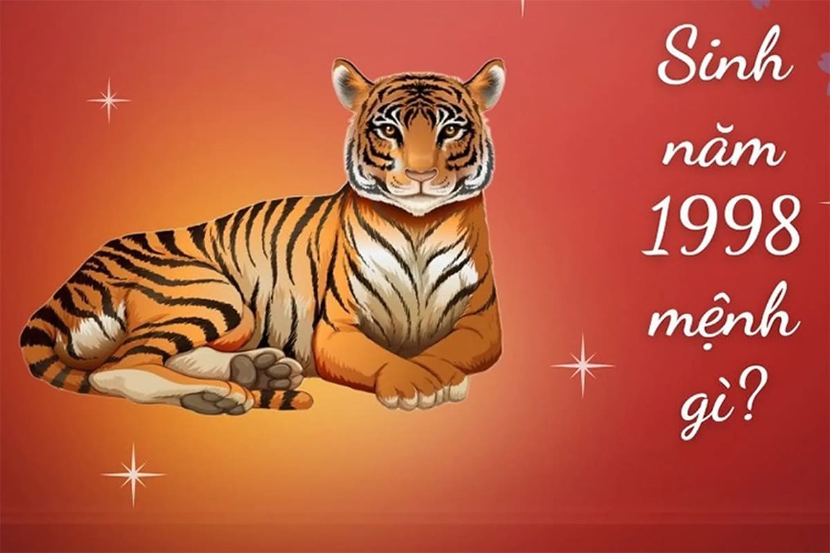 Sinh năm 1998 mệnh Thổ Sinh năm 1998 mệnh Thổ