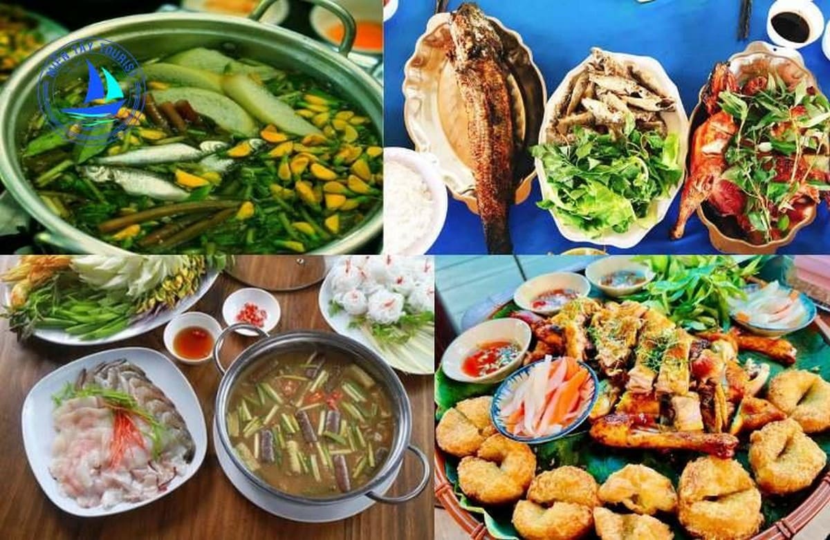 Du lịch rừng Tràm Trà Sư: Bỏ túi cẩm nang ăn gì ở đâu và chơi gì cùng Carpla Đặc sản Trà Sư