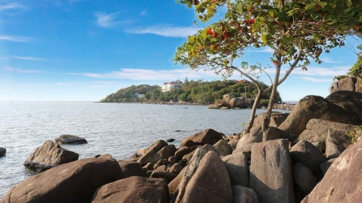Bãi Đá Bạc Bãi Đá Bạc