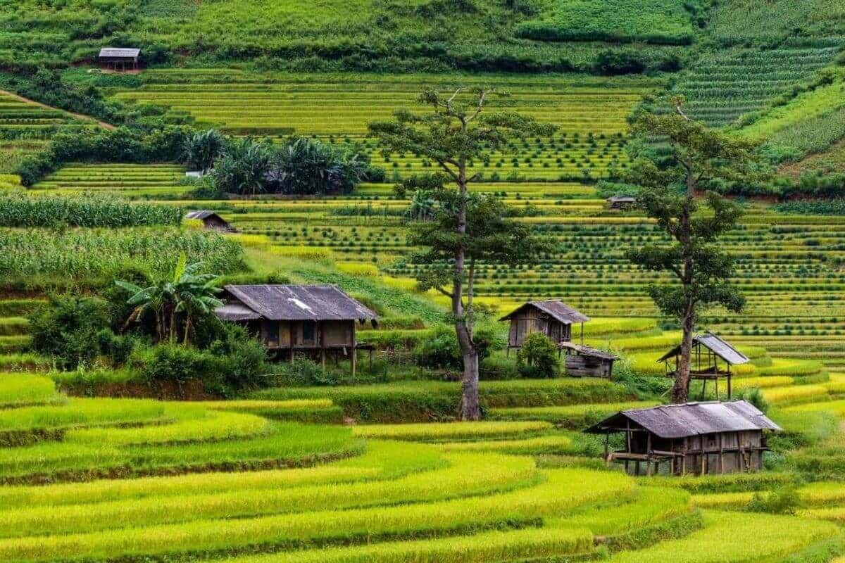 Du lịch Trạm Tấu: Trọn bộ kinh nghiệm ăn – chơi – nghỉ và chuẩn bị phụ kiện cùng Carpla Bản Lìm Mông