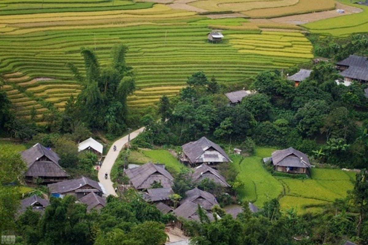 Cẩm Nang Du Lịch Tú Lệ - "Nàng Thơ" của Núi Rừng Yên Bái Bản Lìm Mông