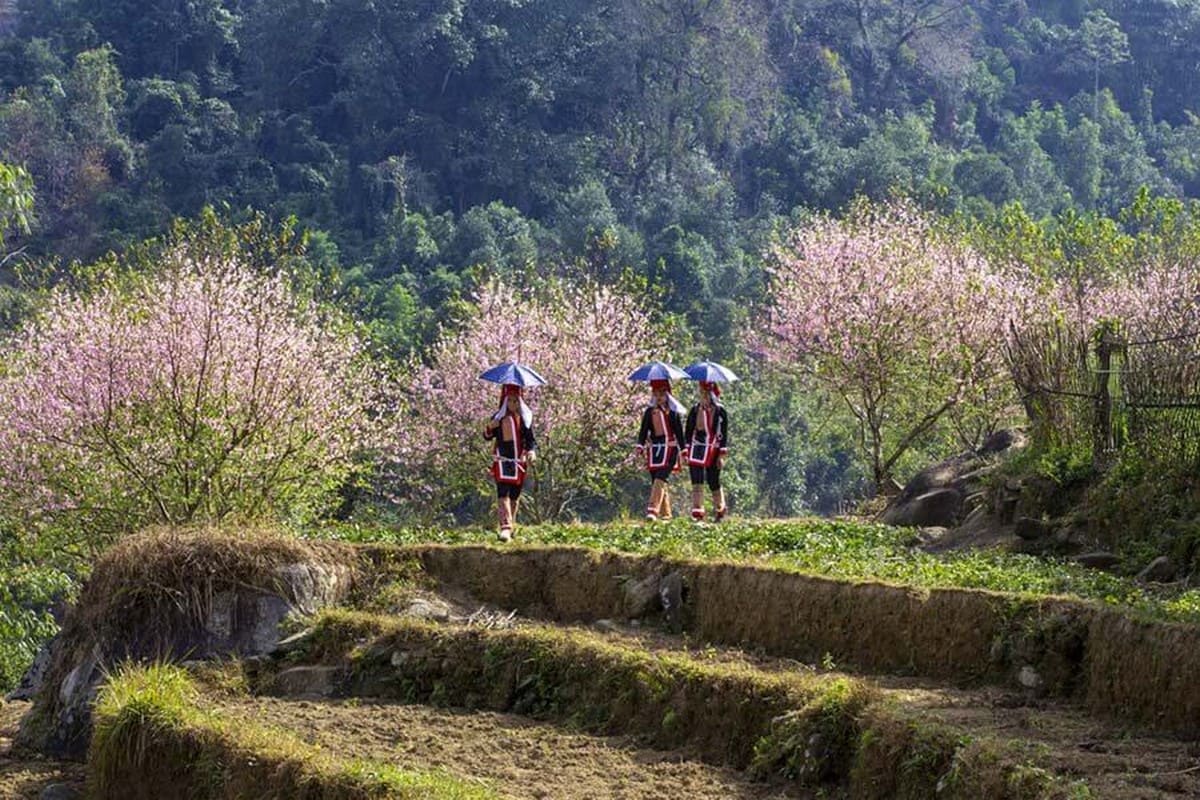 Bản Sông Moóc Bản Sông Moóc