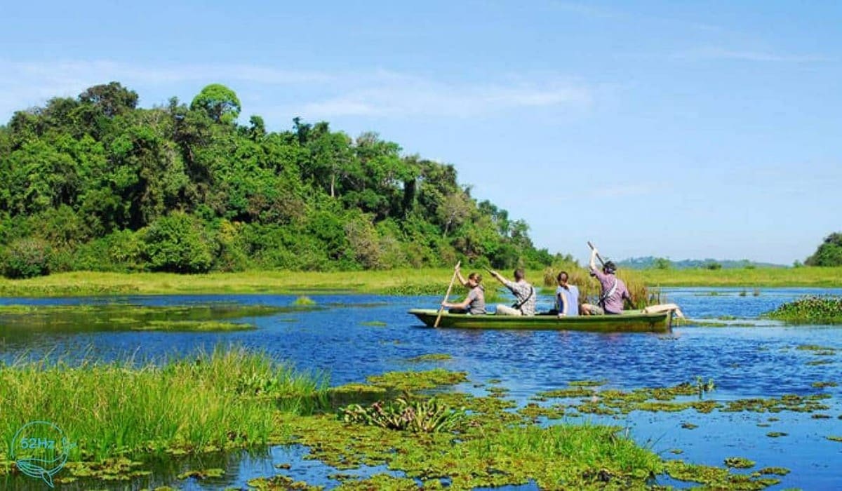 Du lịch vườn Quốc gia Cát Tiên: Hành trình gần gũi với thiên nhiên Bàu Sấu
