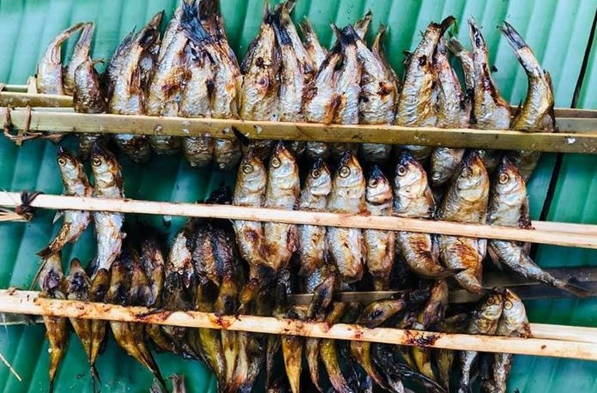 Cá nướng Hồ Ba Bể Cá nướng Hồ Ba Bể
