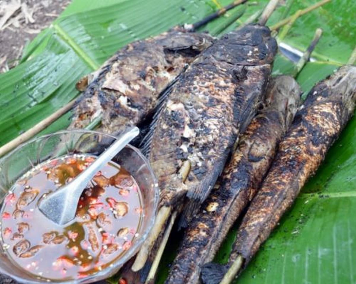 Cẩm nang du lịch Ninh Bình: Địa điểm, lịch trình và giải pháp di chuyển với Carpla Cá nướng rơm Tam Cốc