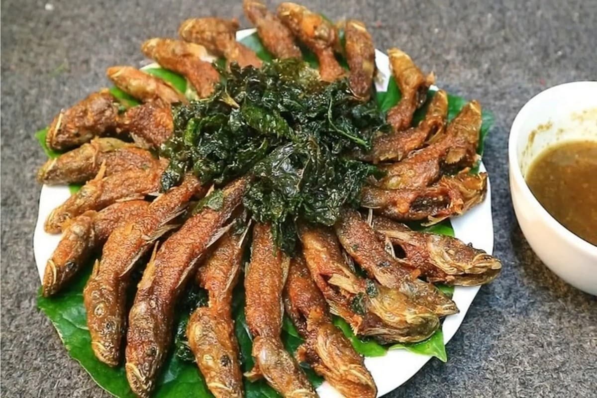 Du lịch Tam Đảo: Khám phá “Đà Lạt miền Bắc” cùng Carpla Cá suối chiên giòn