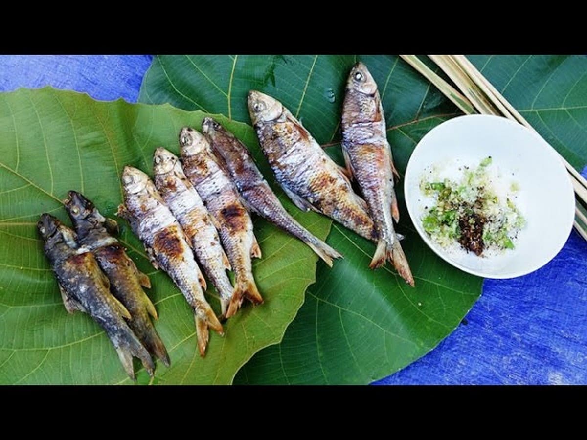 Cá suối nướng