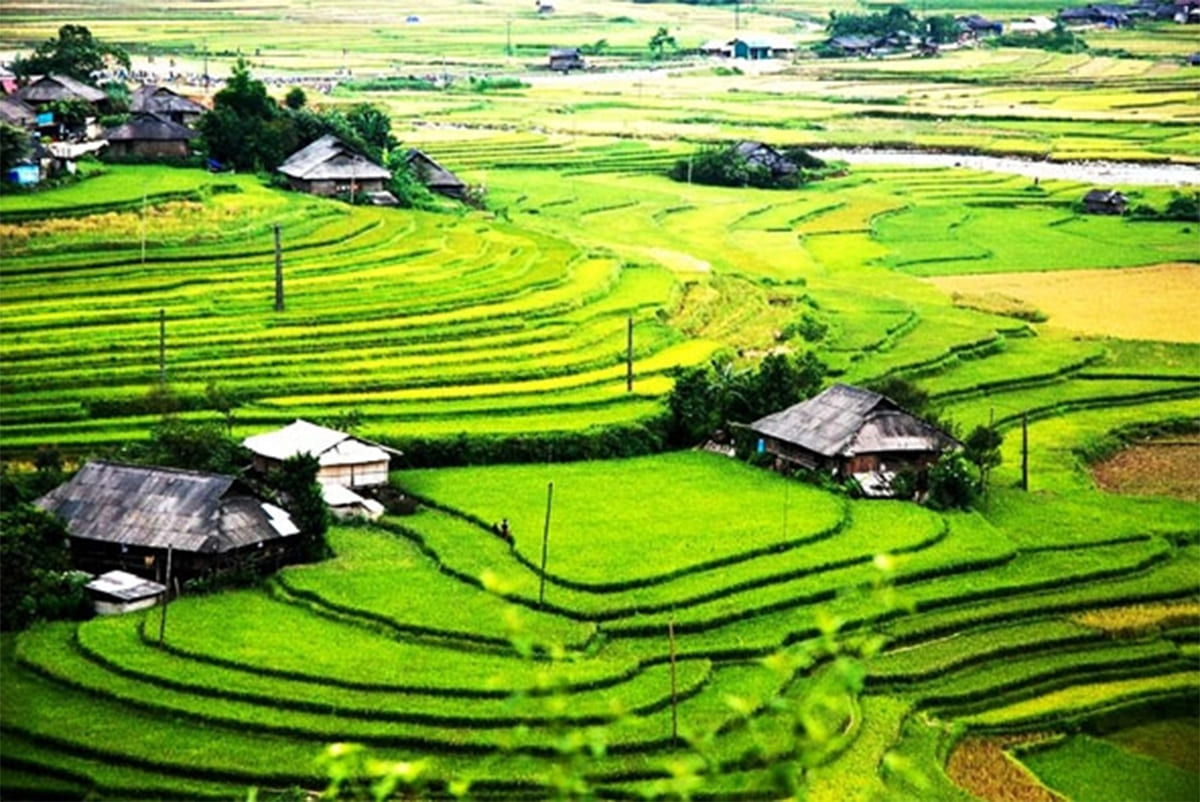 Cao nguyên Sìn Hồ Cao nguyên Sìn Hồ