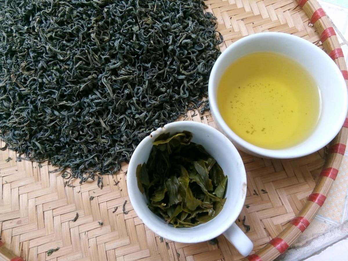 Du lịch Thái Nguyên: Trải nghiệm thiên nhiên và văn hóa Trung Du Bắc Bộ Chè Tân Cương