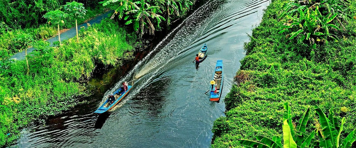 Chèo thuyền qua rừng U Minh Hạ Chèo thuyền qua rừng U Minh Hạ