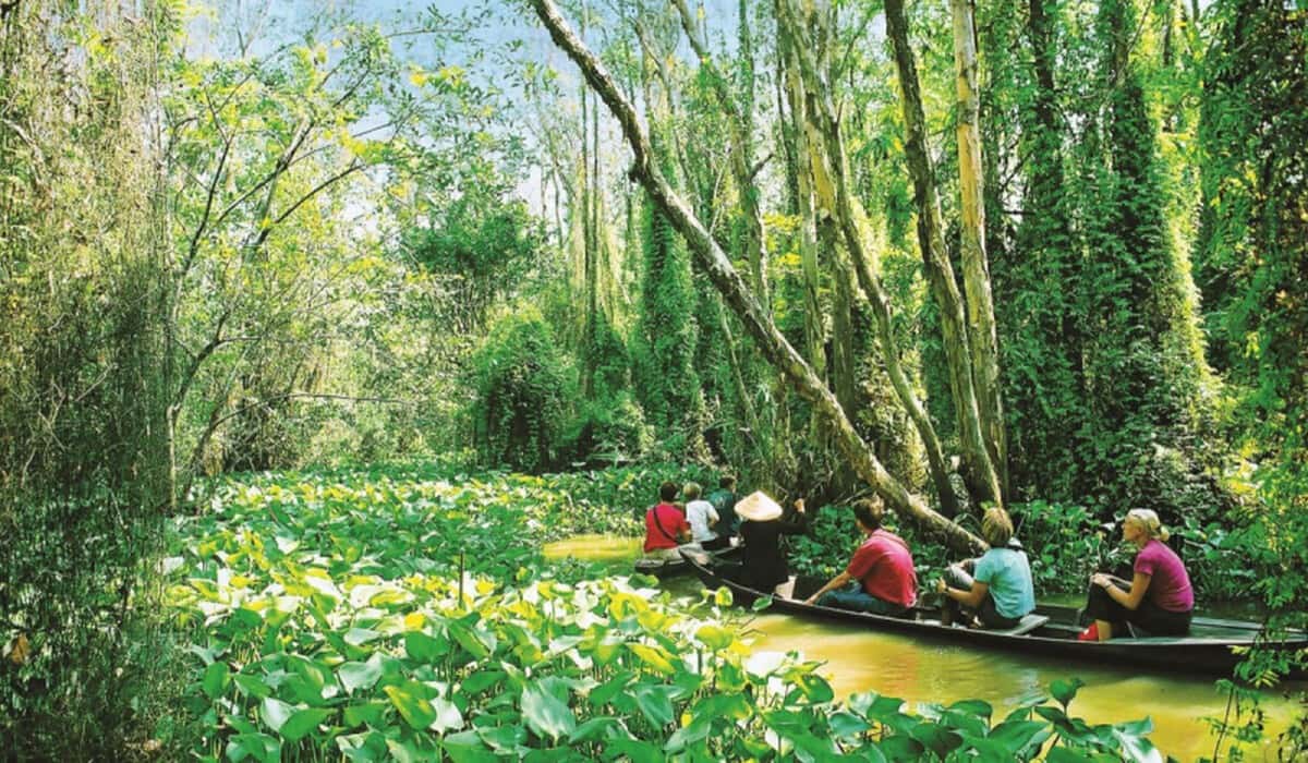 Du lịch Cần Giờ: Hướng dẫn chi tiết về tuyến đường, địa điểm ăn uống và hoạt động thú vị Chèo xuồng trong rừng Vàm Sát
