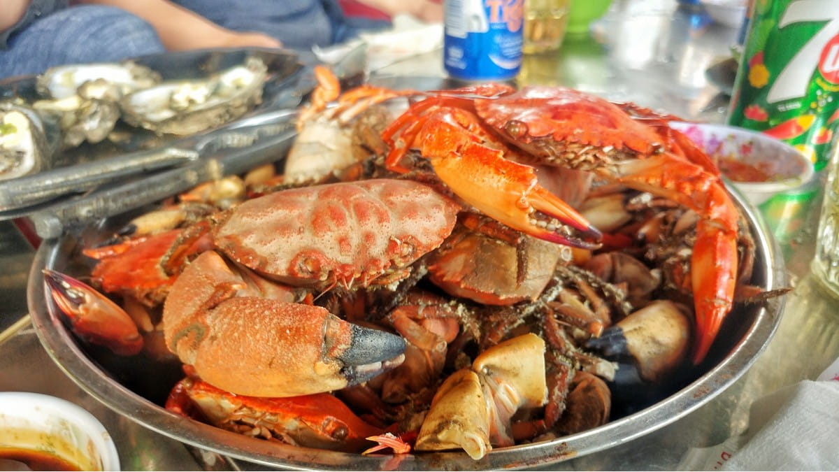 Du lịch Cần Giờ: Hướng dẫn chi tiết về tuyến đường, địa điểm ăn uống và hoạt động thú vị Cua Cần Giờ