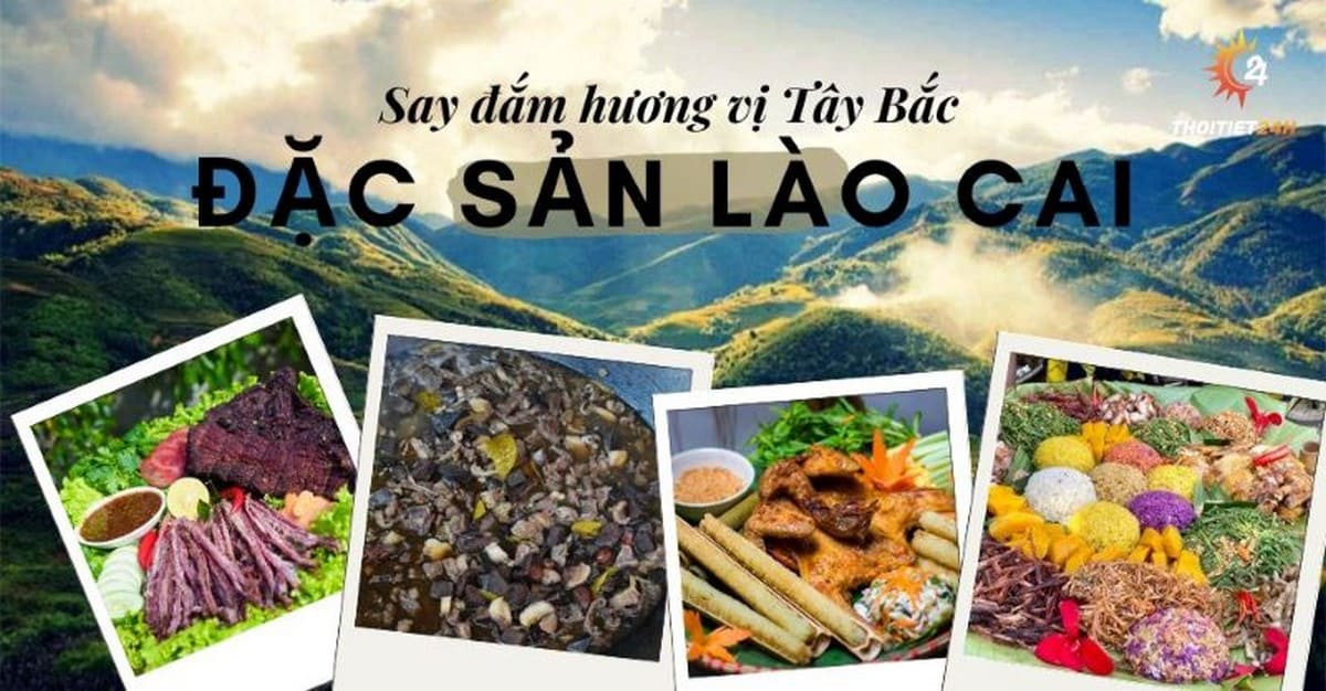 Du Lịch Lào Cai: Bật Mí Lịch Trình, Ăn Chơi, Lưu Trú & Phụ Kiện Tiện Lợi Từ Carpla Đặc sản Lào Cai nhất định phải thử năm 2025