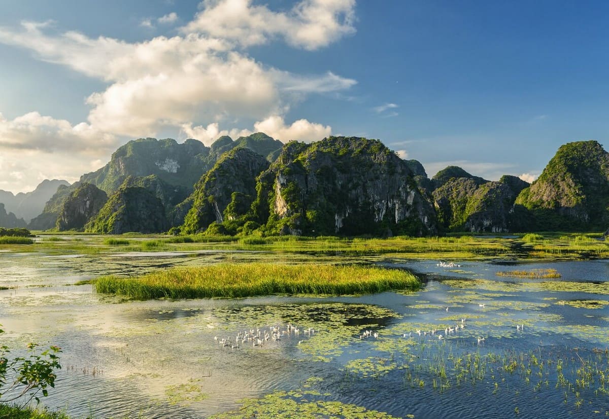 Đầm Vân Chài