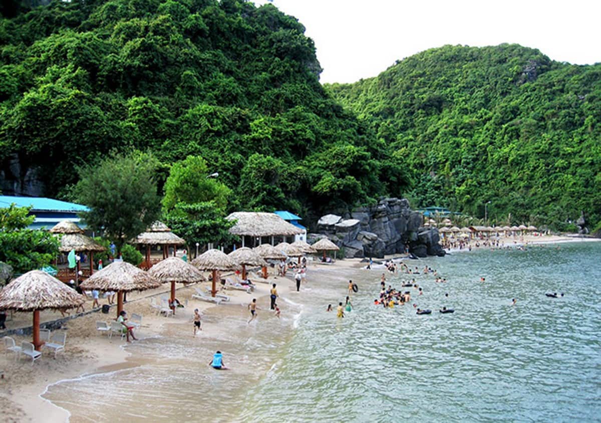 Cẩm nang du lịch Vịnh Lan Hạ từ A đến Z Tắm biển ở đảo Khỉ Cát Bà