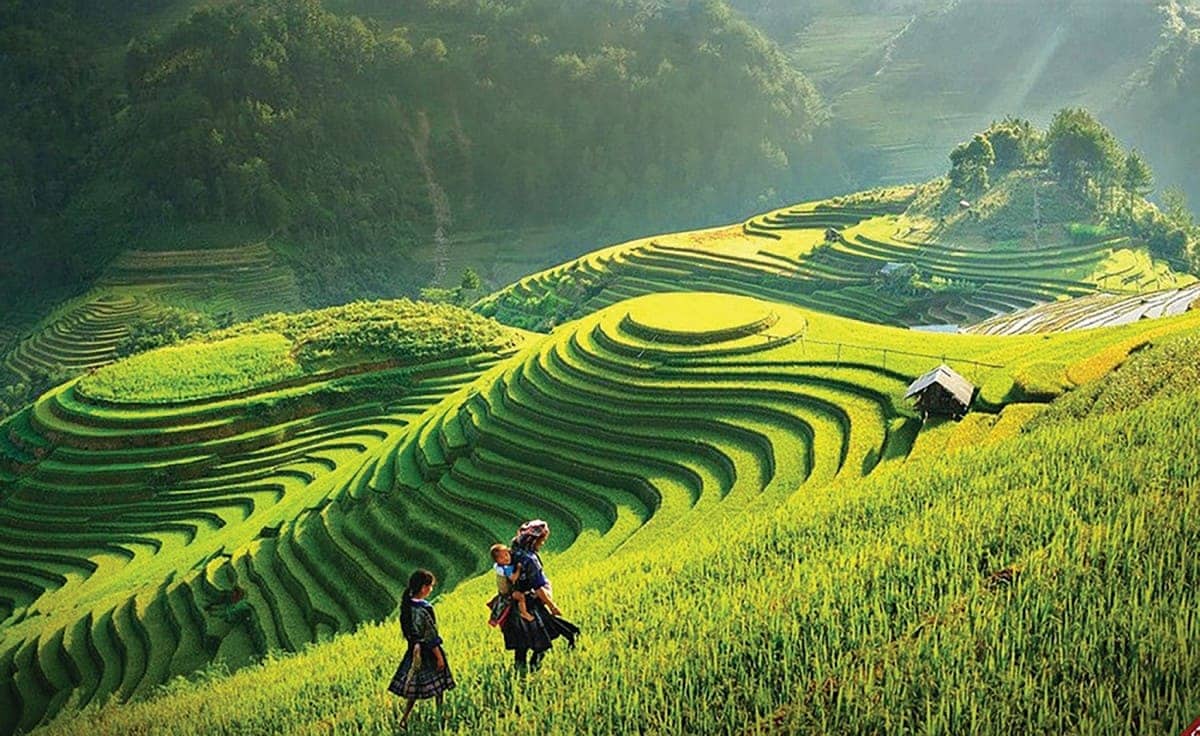 Du lịch Trạm Tấu: Trọn bộ kinh nghiệm ăn – chơi – nghỉ và chuẩn bị phụ kiện cùng Carpla Đồi Mâm Xôi