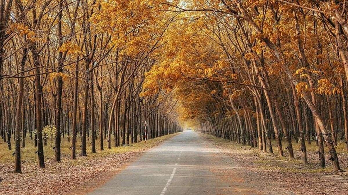 Carpla gợi ý hành trình du lịch Bình Phước với bộ phụ kiện xe hơi hoàn hảo Du lịch Bình Phước