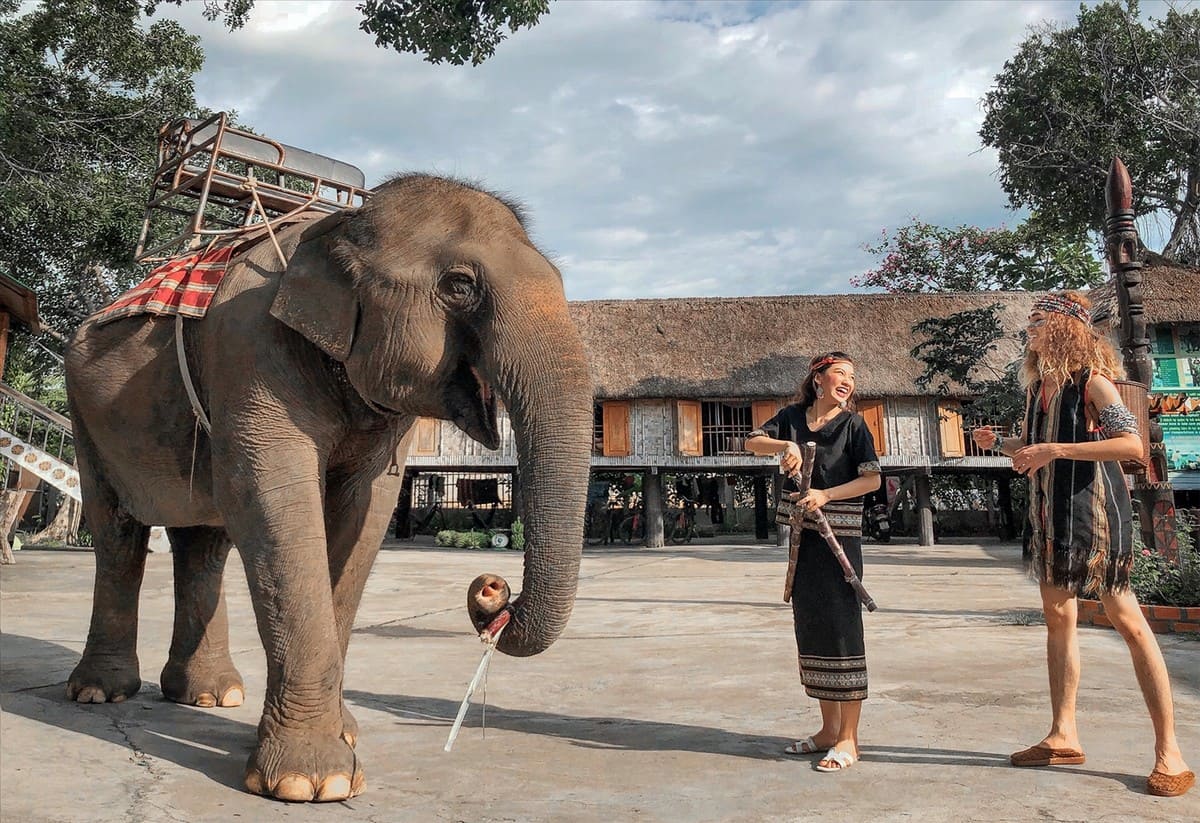 Bỏ Túi Cẩm Nang Du Lịch Buôn Ma Thuột – Thủ Phủ Cà Phê Tây Nguyên Buôn Đôn - Buôn Ma Thuột