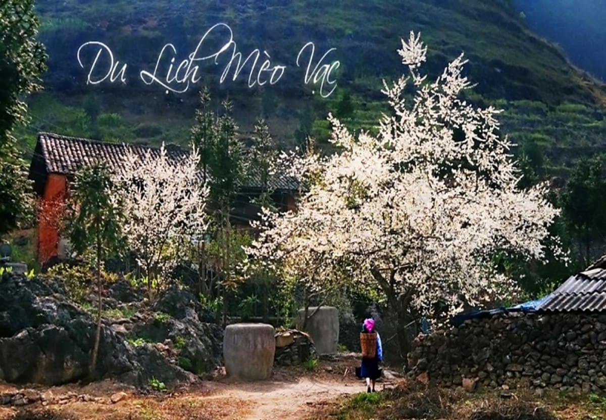 Du lịch Mèo Vạc Du lịch Mèo Vạc