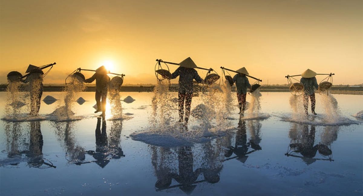 Du lịch Nam Định mùa đẹp nhất Du lịch Nam Định mùa đẹp nhất