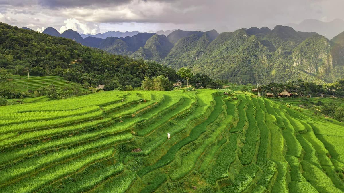 Du lịch Pù Luông: Khám phá thiên đường xanh của Thanh Hóa cùng Carpla Du lịch Pù Luông Thanh Hóa