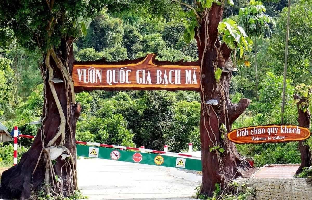 Du lịch vườn Quốc gia Bạch Mã: Trải nghiệm Trekking giữa đại ngàn cùng phụ kiện từ Carpla Du lịch vườn Quốc gia Bạch Mã