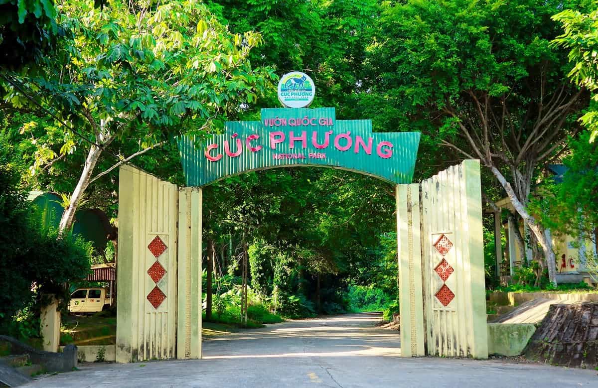 Du lịch vườn Quốc Gia Cúc Phương: Trải nghiệm xanh mượt cùng Carpla Du lịch vườn quốc gia Cúc Phương