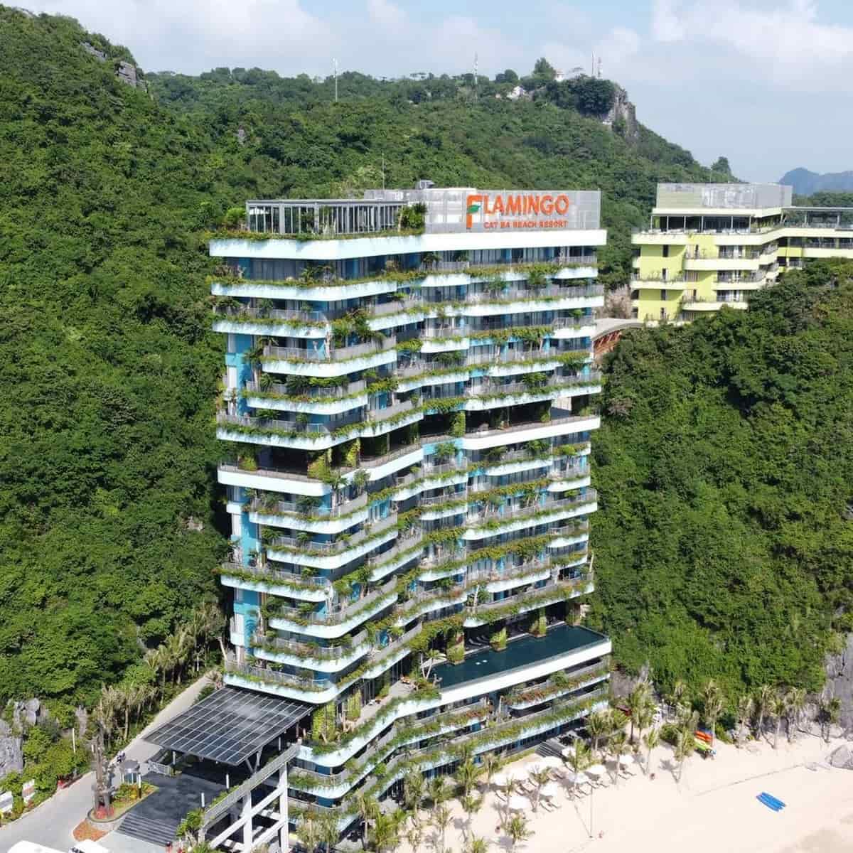 Du lịch Cát Bà: Thiên nhiên hùng vĩ và trải nghiệm di chuyển thuận lợi cùng Carpla Flamingo Cát Bà Resort