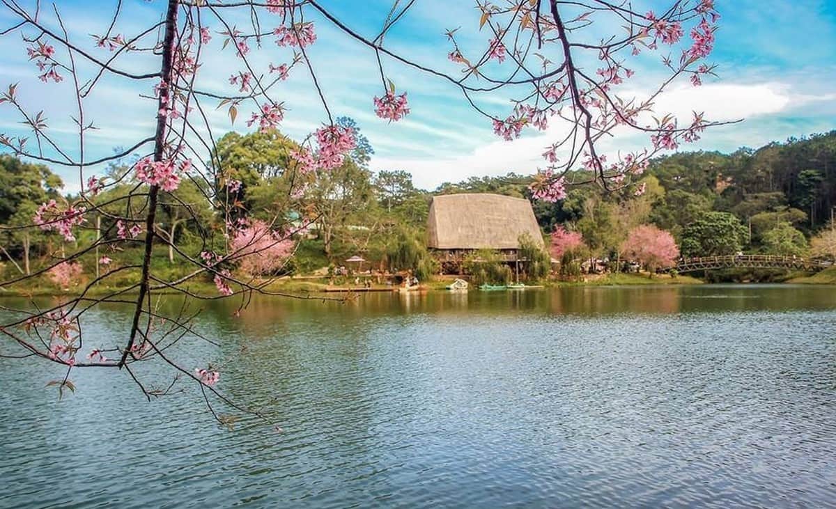 Du Lịch Măng Đen: Khám phá “Đà Lạt thứ hai” với xe ô tô từ Carpla Hồ Đắk Ke