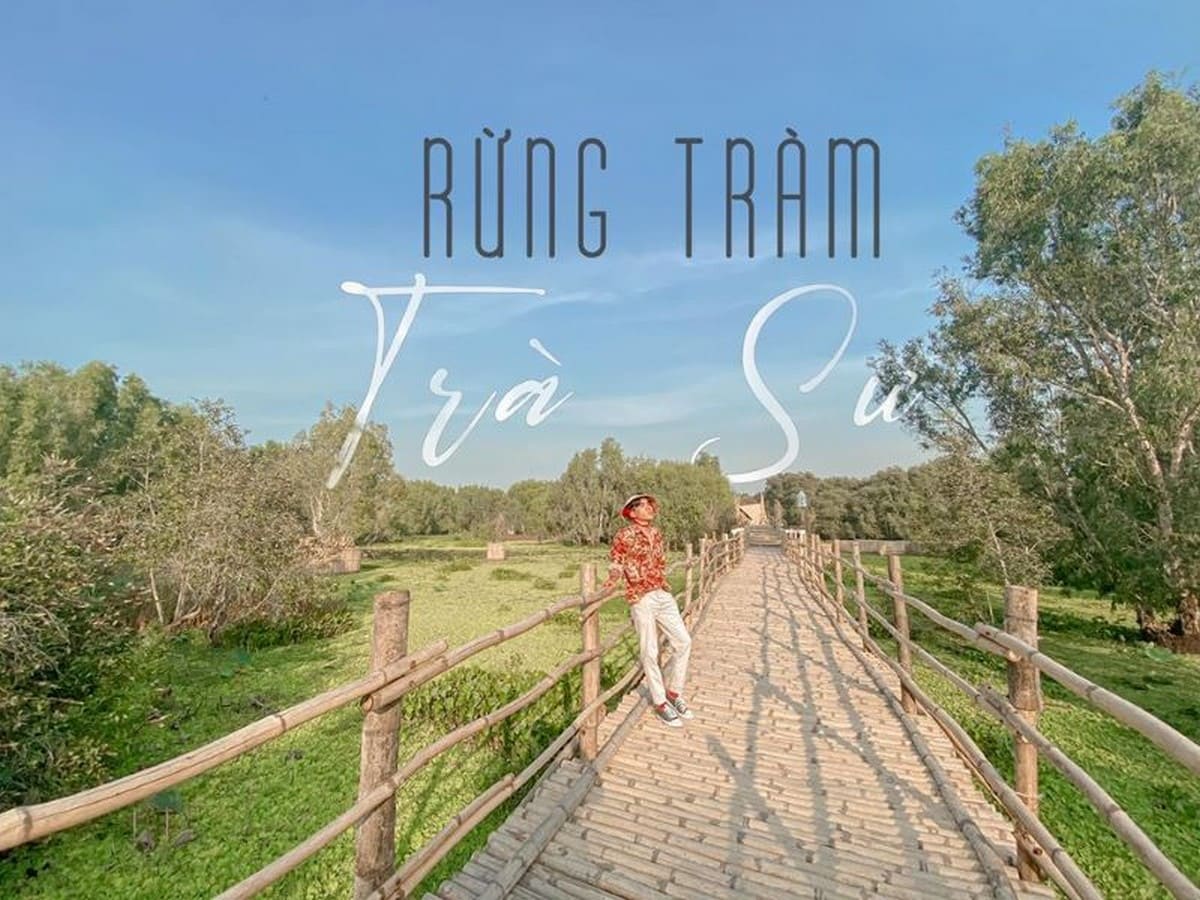 Chụp ảnh trên cầu tre rừng tràm trà sư Chụp ảnh trên cầu tre rừng tràm trà sư