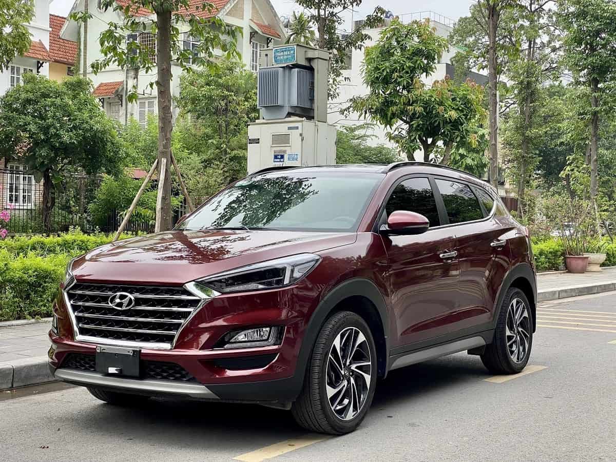 Vận hạn và may mắn của tuổi Kỷ Mùi 1979 trong năm Giáp Thìn 2025 Kỷ Mùi phù hợp với các màu thuộc hành Mộc và Hỏa