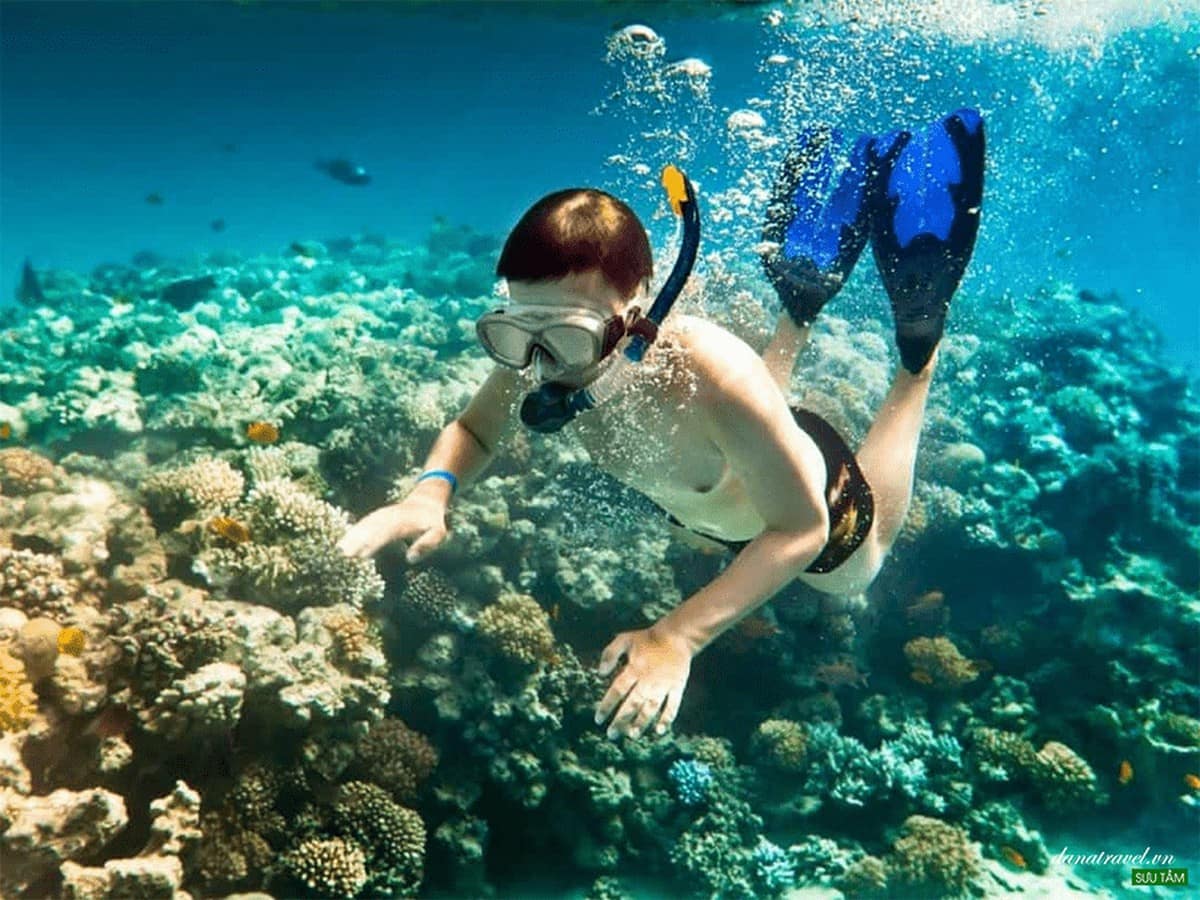Du lịch Quy Nhơn: Khám phá thiên đường biển với xe ô tô từ Carpla Lặn ngắm san hô tại Hòn Khô
