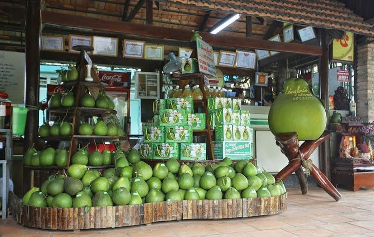 Du lịch Đồng Nai: Những điểm đến không thể bỏ qua cho du khách Làng bưởi Tân Triều