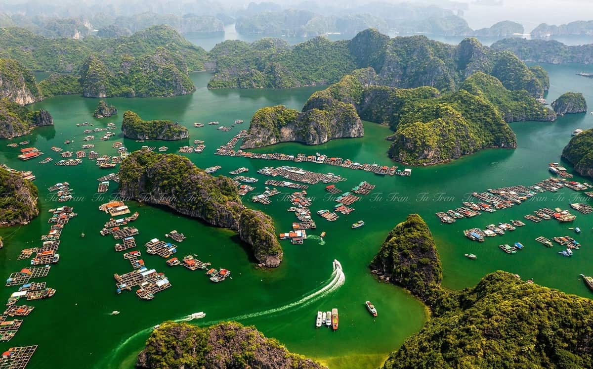 Cẩm nang du lịch Vịnh Lan Hạ từ A đến Z Làng chài Cái Bèo