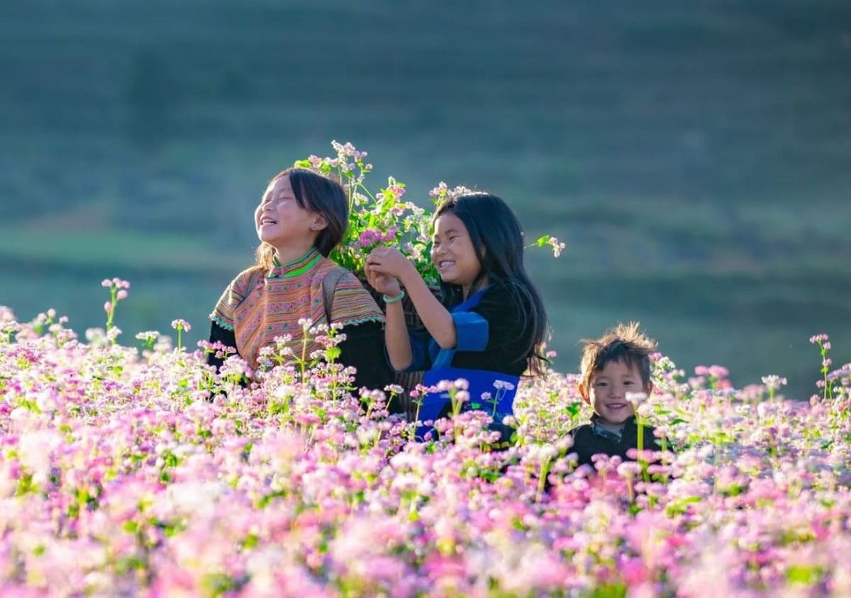 tam giác mạch tam giác mạch