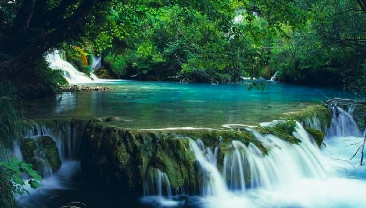 Du lịch vườn Quốc gia Bạch Mã: Trải nghiệm Trekking giữa đại ngàn cùng phụ kiện từ Carpla Ngũ Hồ