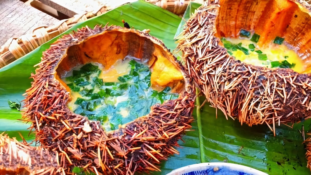 Du lịch Cù Lao Xanh: Điểm đến lý tưởng cho kỳ nghỉ thư giãn và khám phá Nhum biển nướng