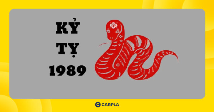 tử vi tuổi Kỷ Tỵ 1989