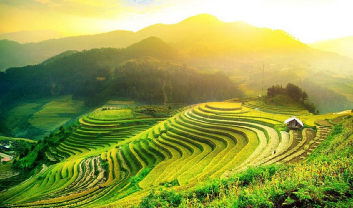 Ruộng bậc thang Hoàng Su Phì