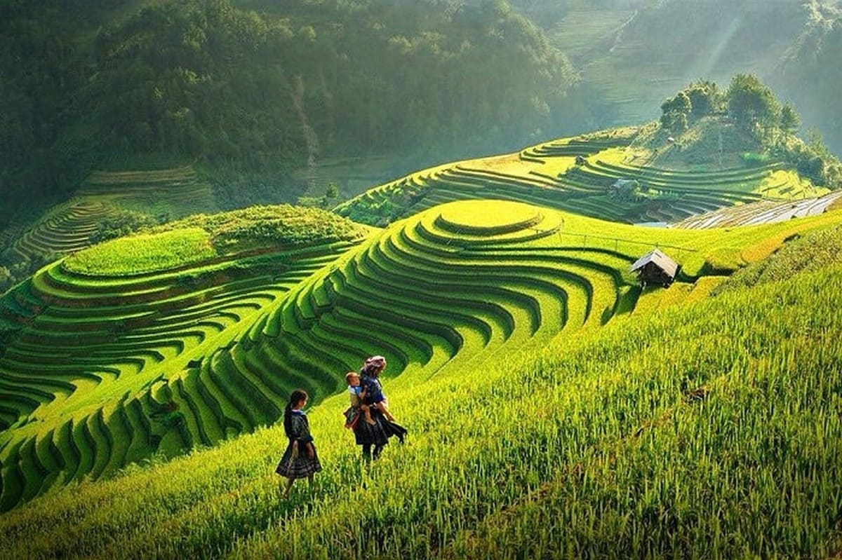 Ruộng bậc thang La Pán Tẩn