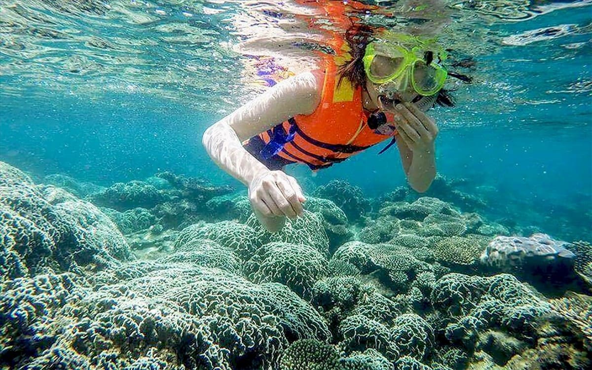 Tour lặn ngắm san hô tại Kỳ Co