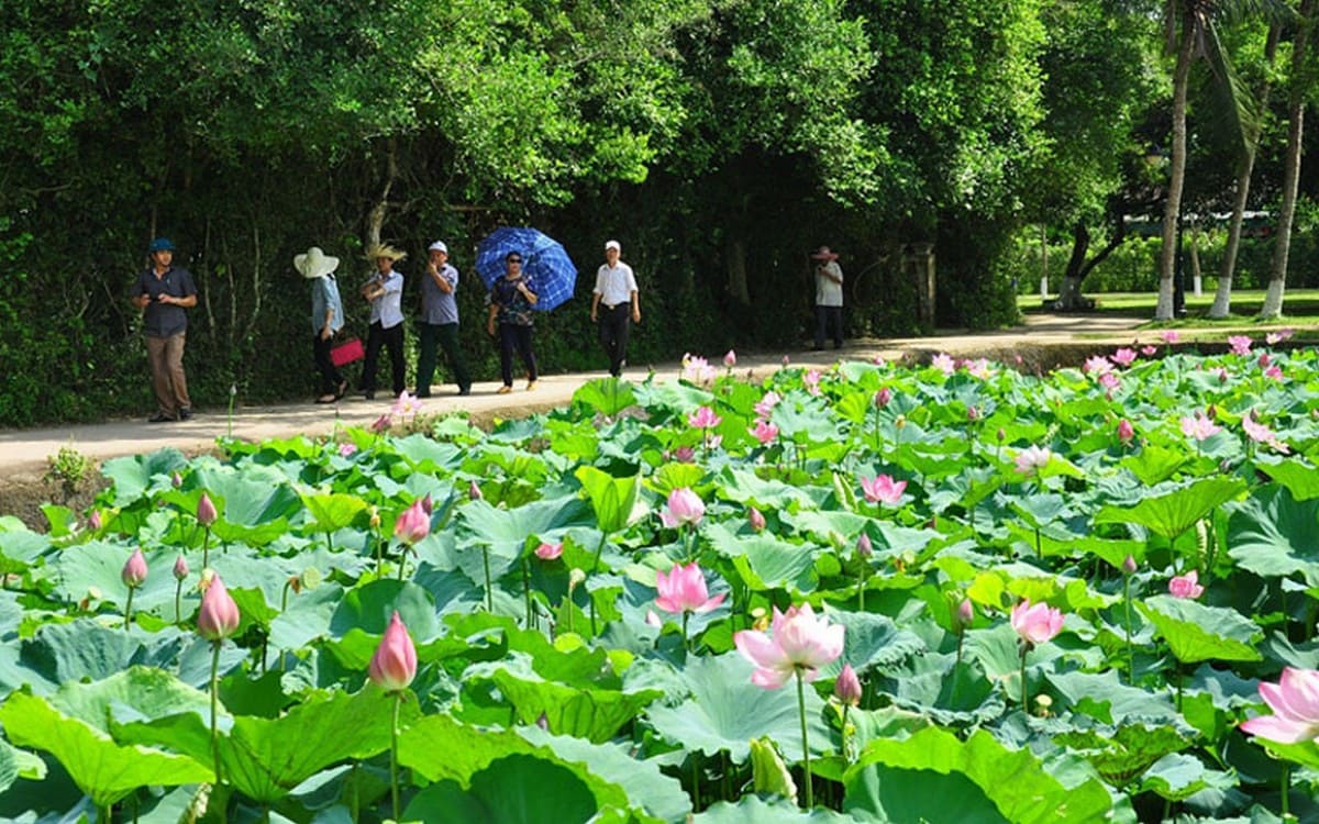 Tham quan làng Sen và Kim Liên Tham quan làng Sen và Kim Liên
